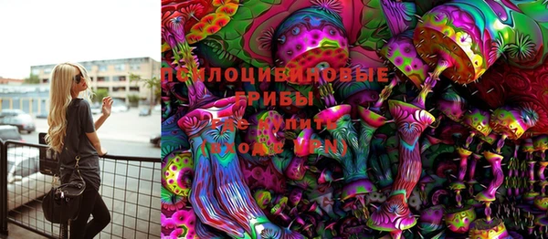 прущая мука Богородицк
