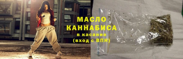 индика Богданович
