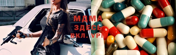 индика Богданович