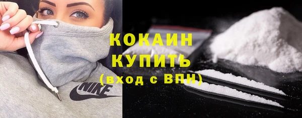 индика Богданович