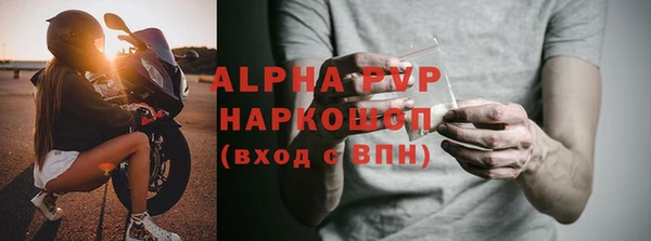 индика Богданович