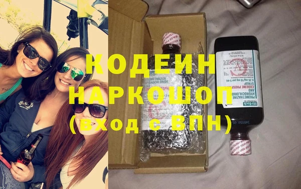 индика Богданович