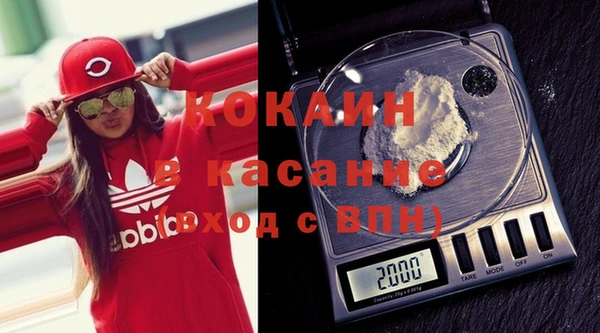 стаф Каменногорск
