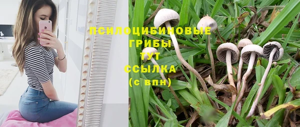 наркотики Богородск