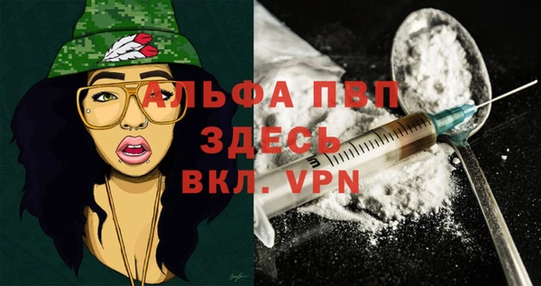 индика Богданович