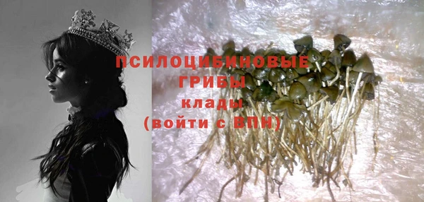 прущая мука Богородицк