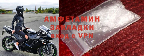 индика Богданович
