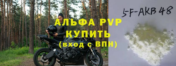 индика Богданович