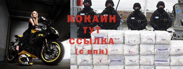 индика Богданович
