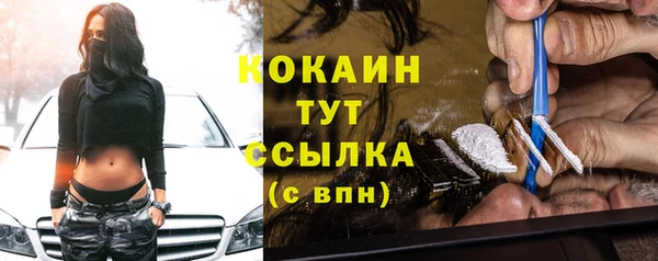 индика Богданович