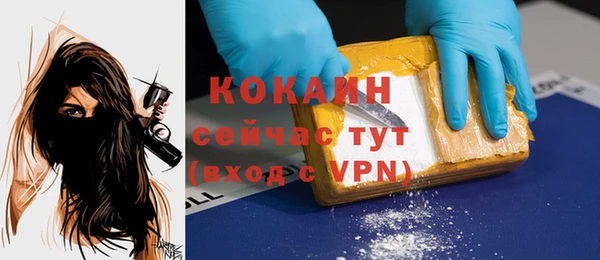 индика Богданович
