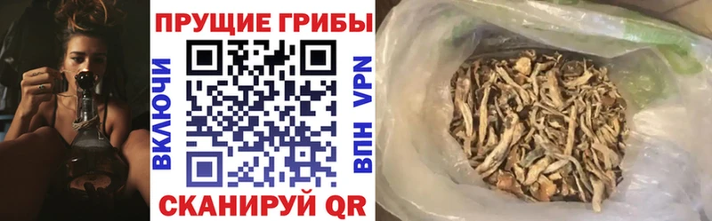Галлюциногенные грибы мухоморы  Кораблино 