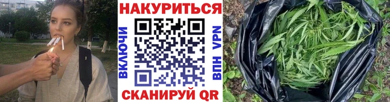 МАРИХУАНА семена как найти Кораблино